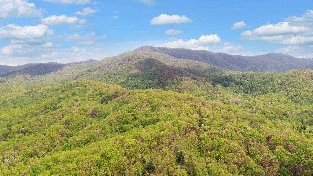 385 Elrod Circle