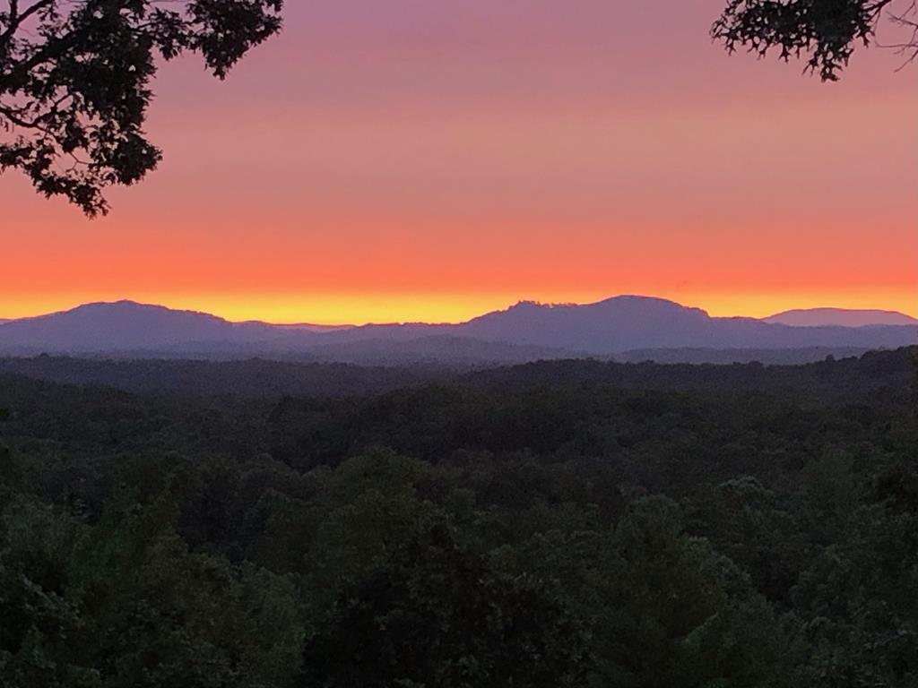 198 Monarch Butterfly Trail