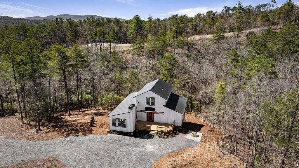295 Mountain Laurel Ridge