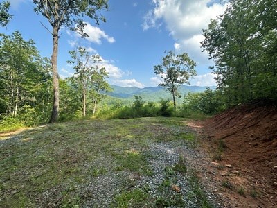 Lot 7 Eagle Fork Summit