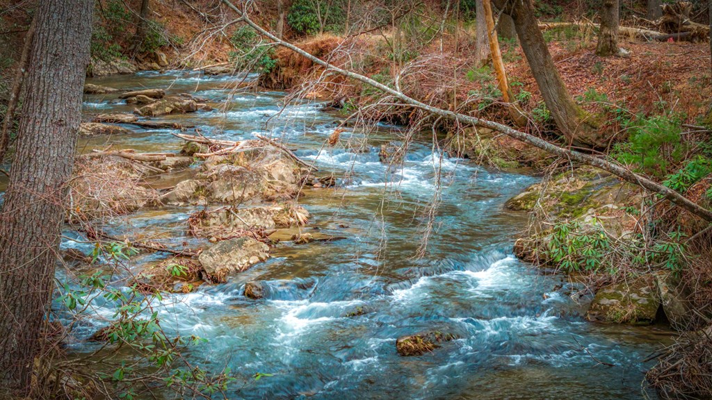 164 Water Dance Trail