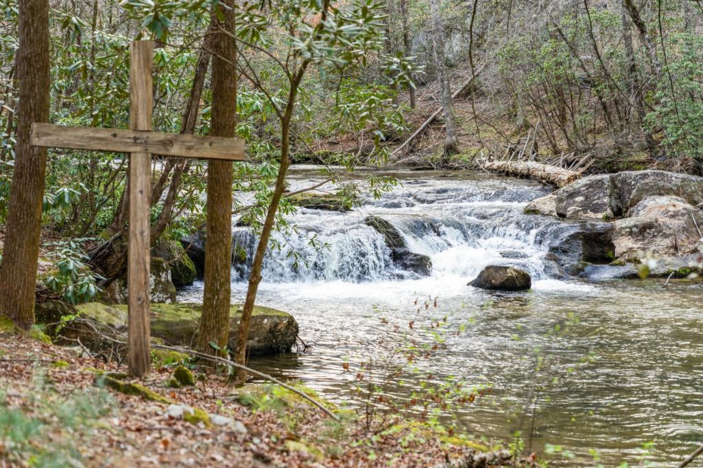 164 Water Dance Trail