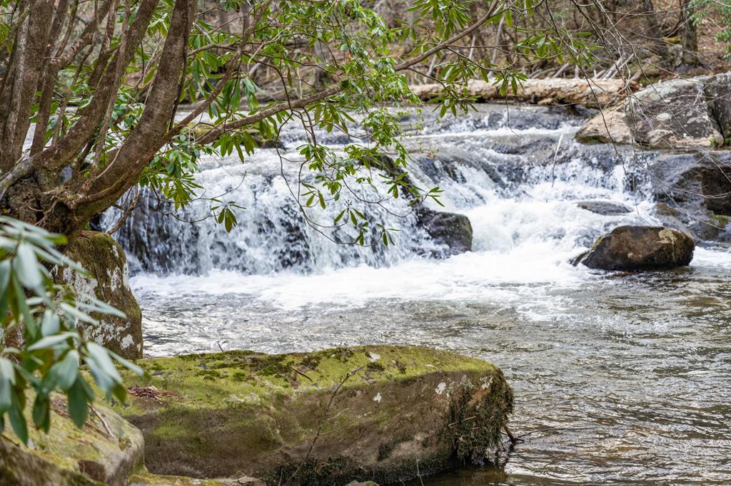 164 Water Dance Trail