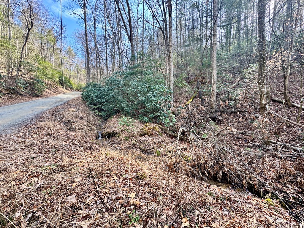 L53 Amy Creek Circle