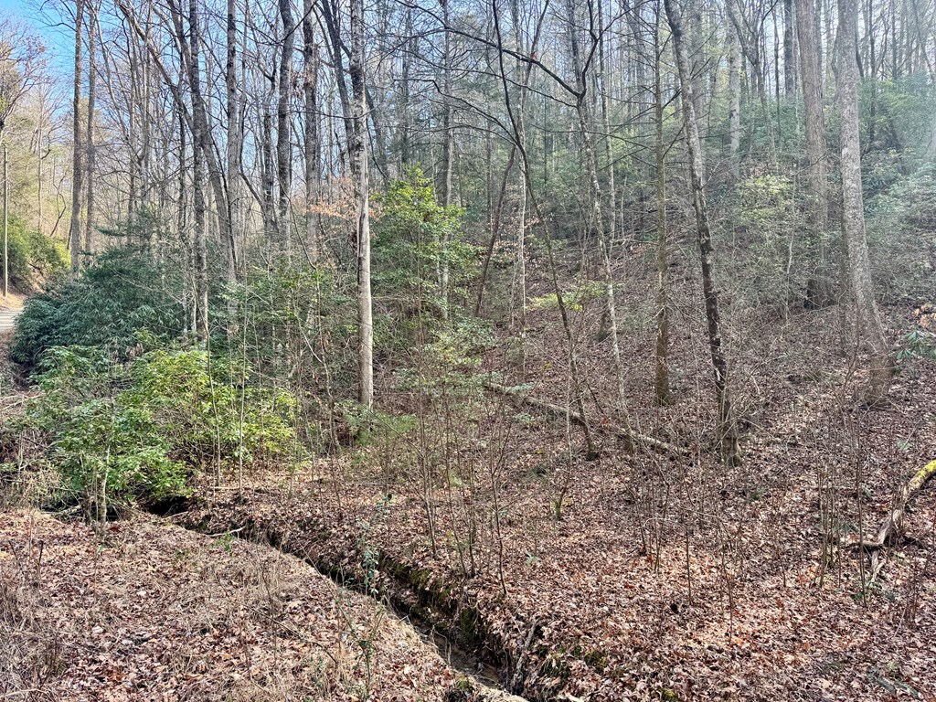 L53 Amy Creek Circle