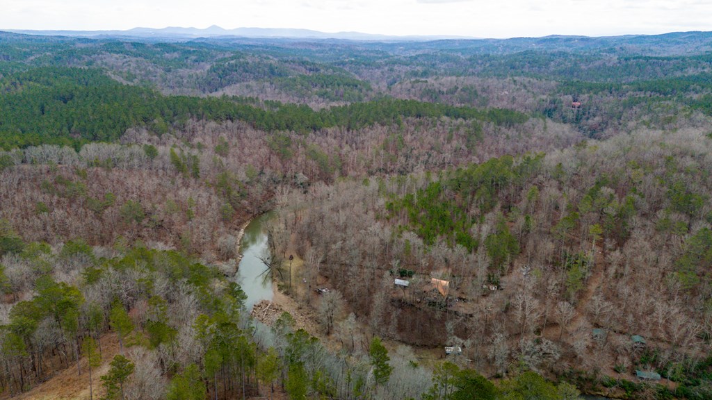 Ellijay, Georgia 30540, United States, 3 Bedrooms Bedrooms, ,3 BathroomsBathrooms,Residential,Active,54641