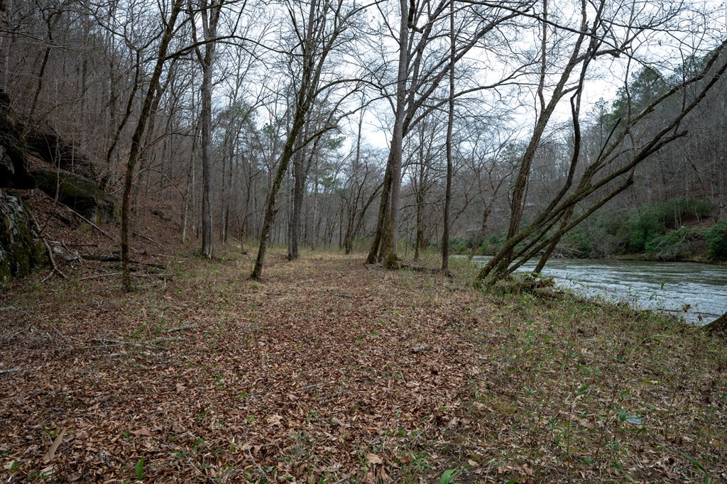 Ellijay, Georgia 30540, United States, 3 Bedrooms Bedrooms, ,3 BathroomsBathrooms,Residential,Active,54641