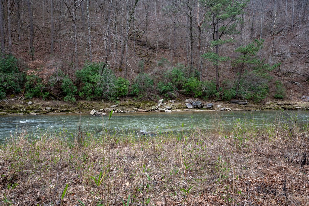 Ellijay, Georgia 30540, United States, 3 Bedrooms Bedrooms, ,3 BathroomsBathrooms,Residential,Active,54641