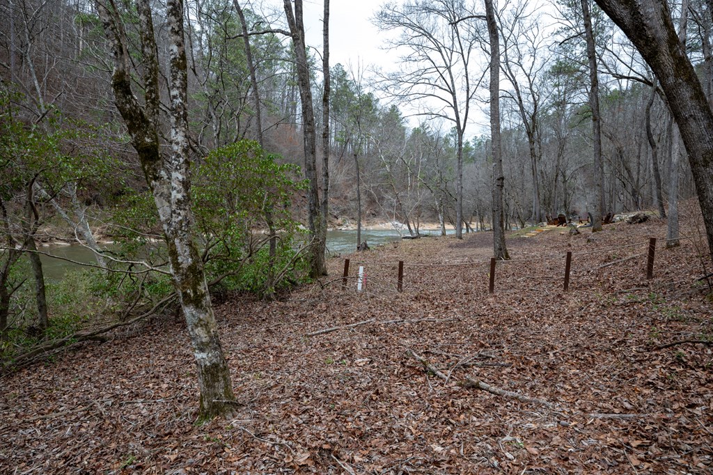 Ellijay, Georgia 30540, United States, 3 Bedrooms Bedrooms, ,3 BathroomsBathrooms,Residential,Active,54641