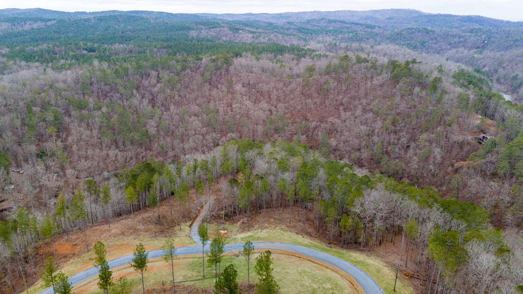 Ellijay, Georgia 30540, United States, 3 Bedrooms Bedrooms, ,3 BathroomsBathrooms,Residential,Active,54641