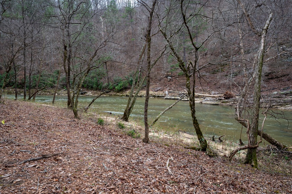 Ellijay, Georgia 30540, United States, 3 Bedrooms Bedrooms, ,3 BathroomsBathrooms,Residential,Active,54641