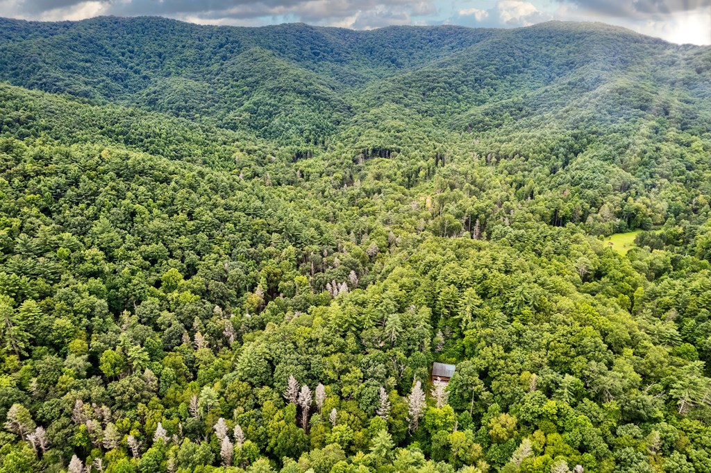 3421 Devils Den Road