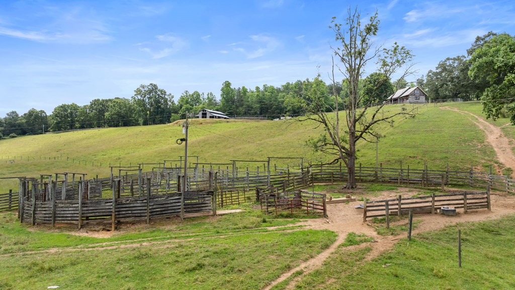Warne, North Carolina, 28909, United States, 3 Bedrooms Bedrooms, ,3 BathroomsBathrooms,Residential,Active,1993668