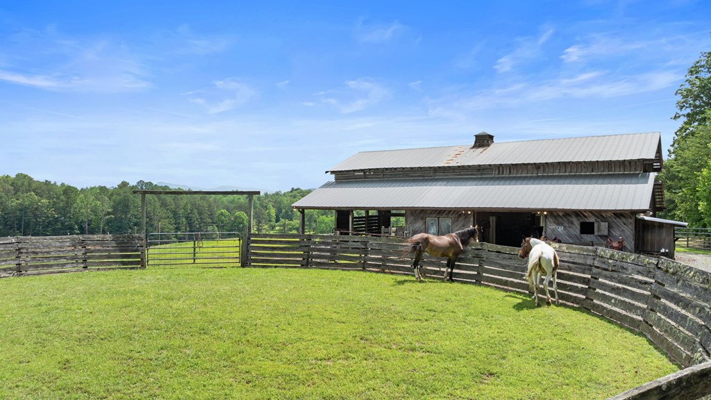 Warne, North Carolina, 28909, United States, 3 Bedrooms Bedrooms, ,3 BathroomsBathrooms,Residential,Active,1993668
