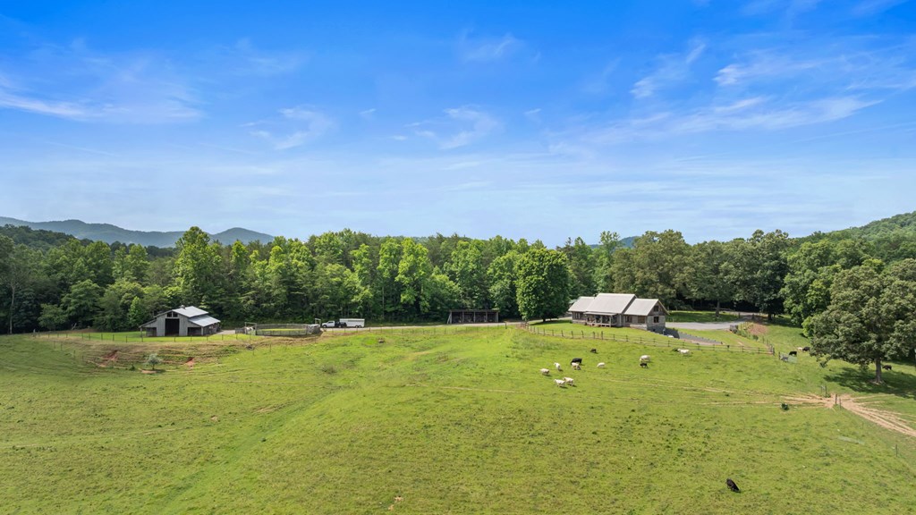 Warne, North Carolina, 28909, United States, 3 Bedrooms Bedrooms, ,3 BathroomsBathrooms,Residential,Active,1993668
