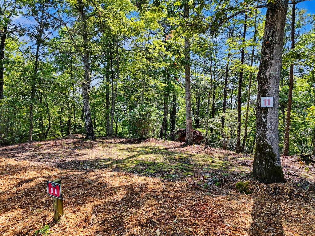 Lot 11 Brasstown Trails