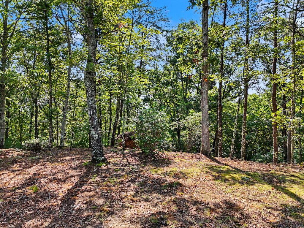 Lot 11 Brasstown Trails