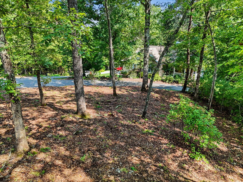 Lot 11 Brasstown Trails