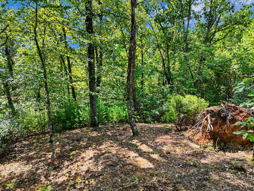 Lot 11 Brasstown Trails