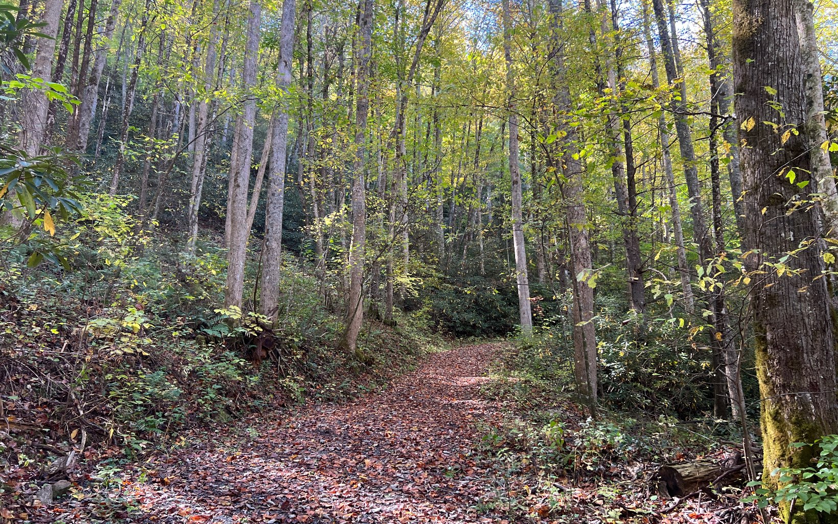 TR 1 Tusquittee Road