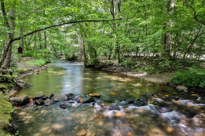 420 Olivers Trail