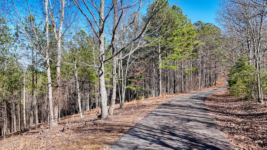 Lot 29 Loftis Mountain
