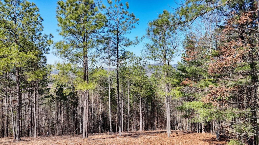Lot 29 Loftis Mountain