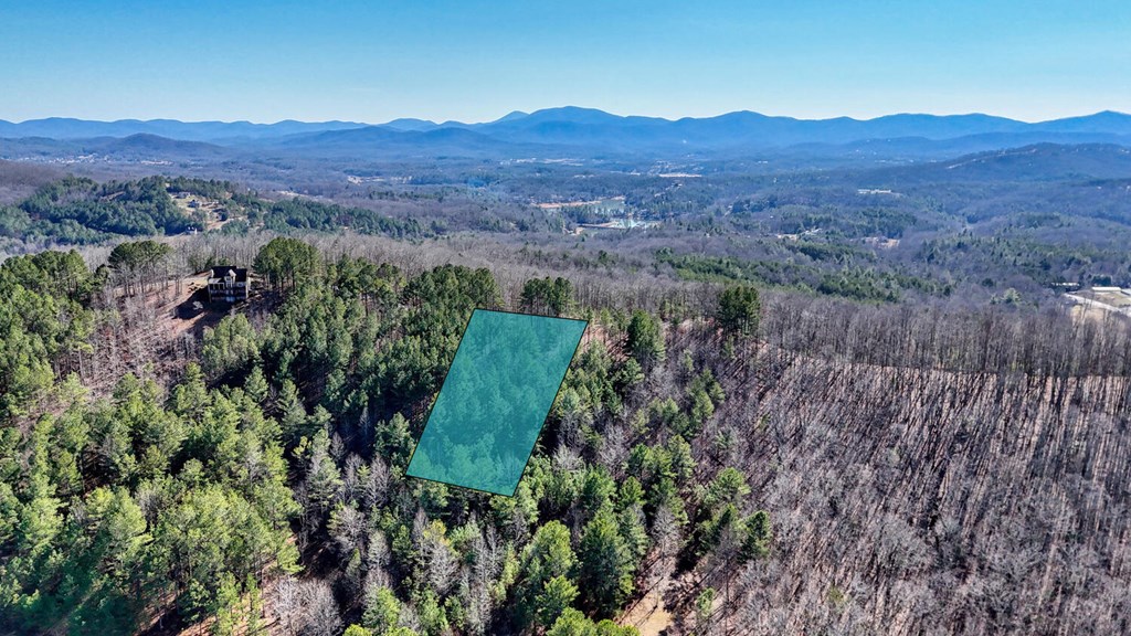 Lot 29 Loftis Mountain