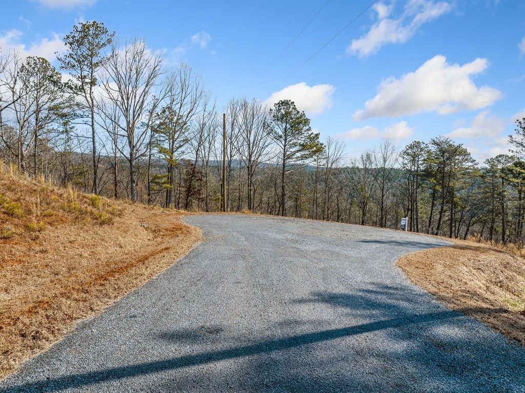198 Blalock Mountain Court