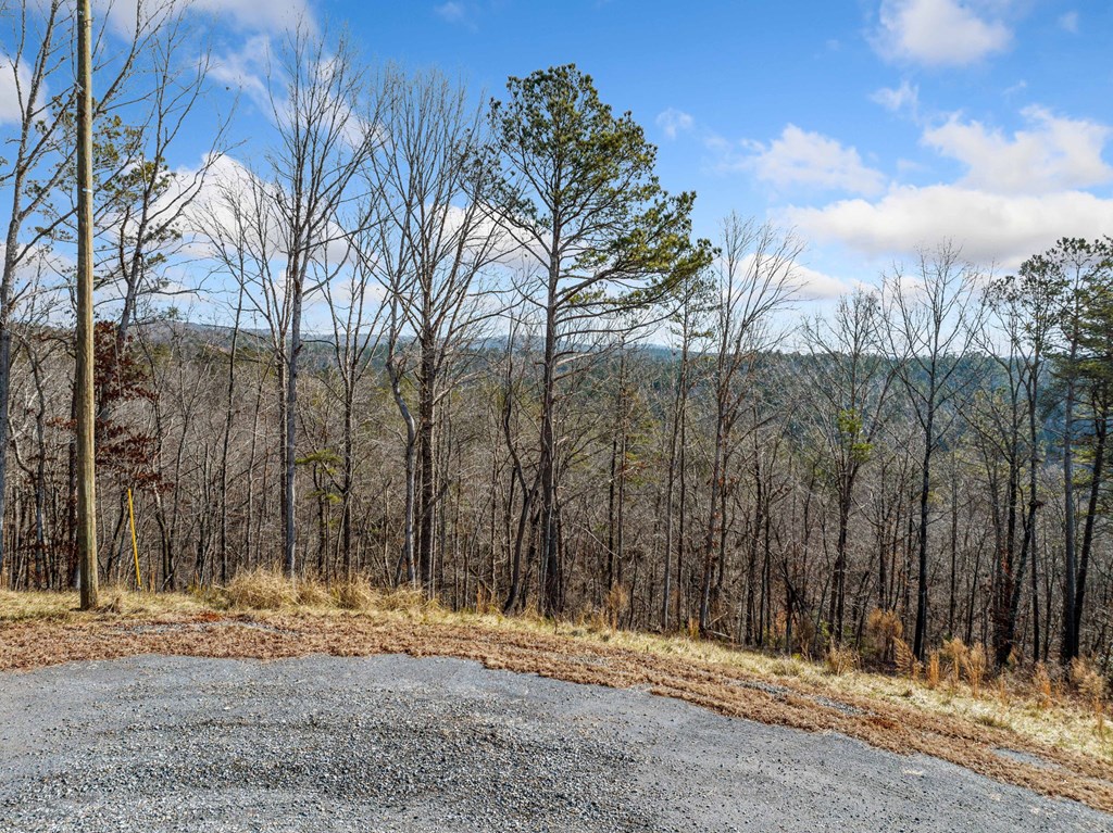 198 Blalock Mountain Court
