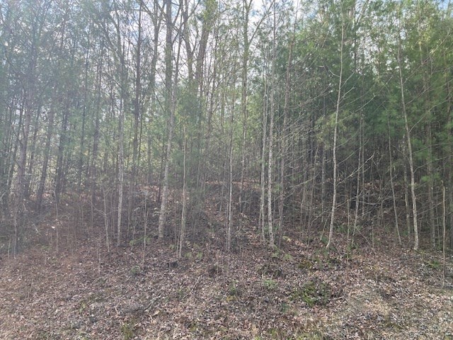 Lot 10 Lower Fox Trail Road