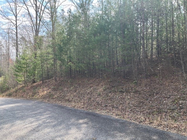 Lot 10 Lower Fox Trail Road