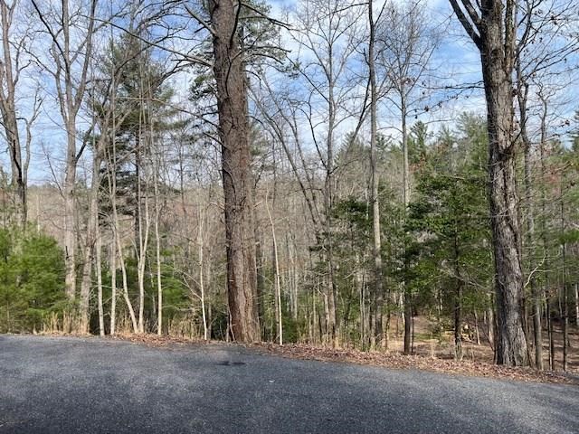 Lot 10 Lower Fox Trail Road