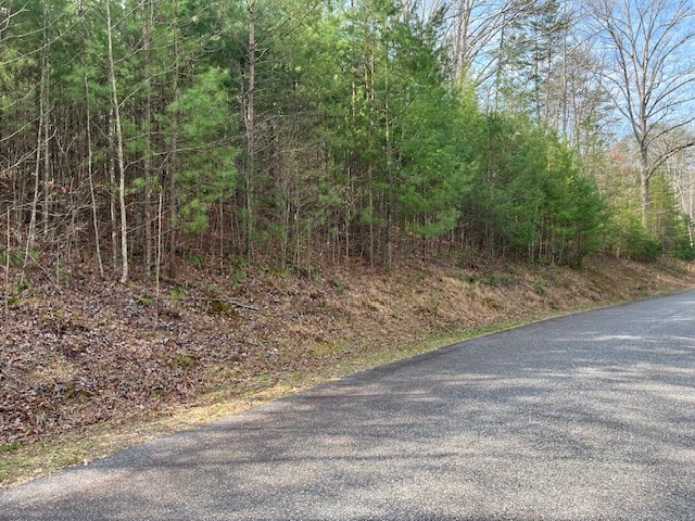 Lot 10 Lower Fox Trail Road