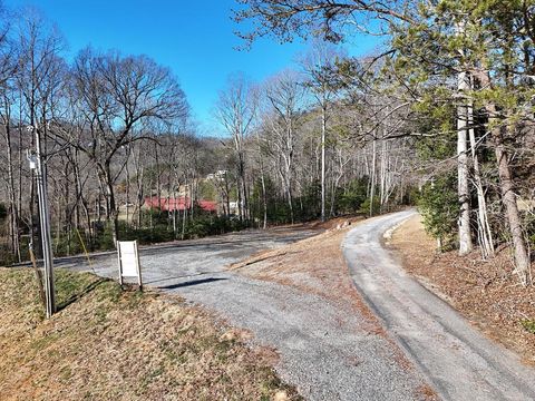 Tract 1 Bauer Road Hiawassee GA 30546