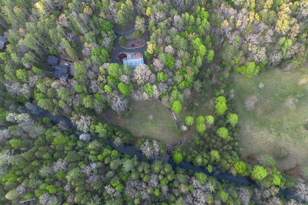 Cherry Log, Georgia, 30522, United States, 5 Bedrooms Bedrooms, ,5 BathroomsBathrooms,Residential,Active,2041378