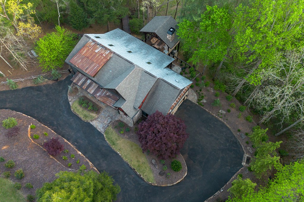 Cherry Log, Georgia, 30522, United States, 5 Bedrooms Bedrooms, ,5 BathroomsBathrooms,Residential,Active,2041378