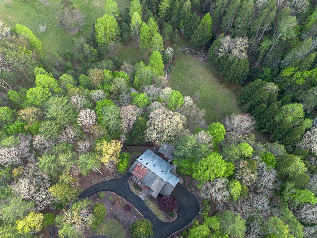 Cherry Log, Georgia, 30522, United States, 5 Bedrooms Bedrooms, ,5 BathroomsBathrooms,Residential,Active,2041378