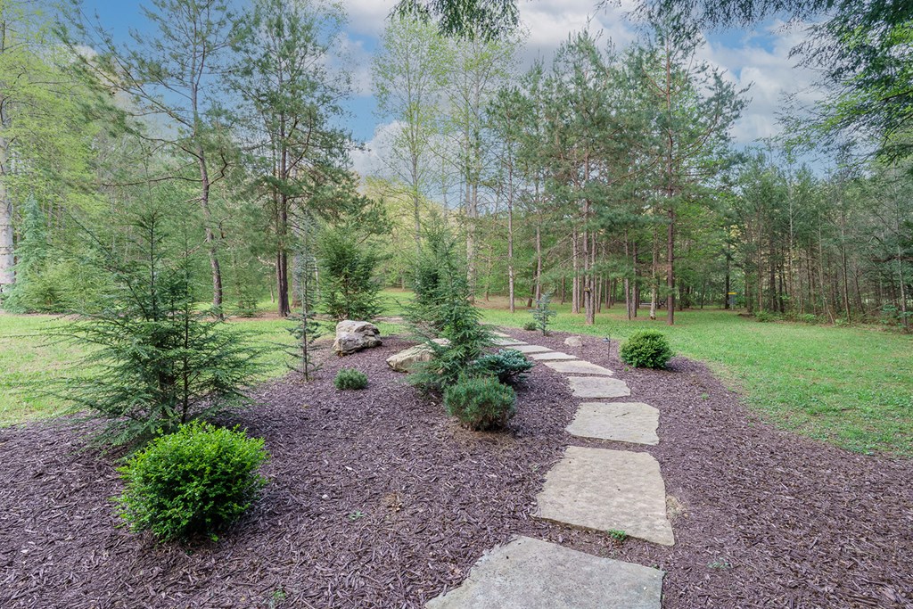 Cherry Log, Georgia, 30522, United States, 5 Bedrooms Bedrooms, ,5 BathroomsBathrooms,Residential,Active,2041378