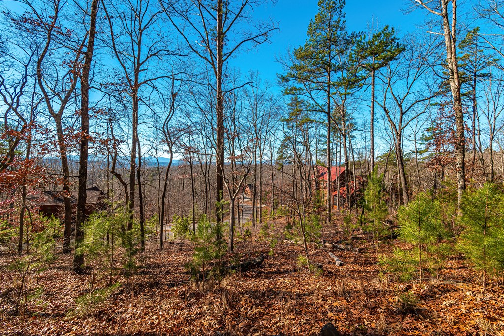 Lot 12 Meadow Brook Trail