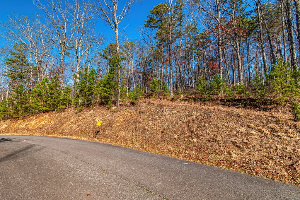 Lot 12 Meadow Brook Trail