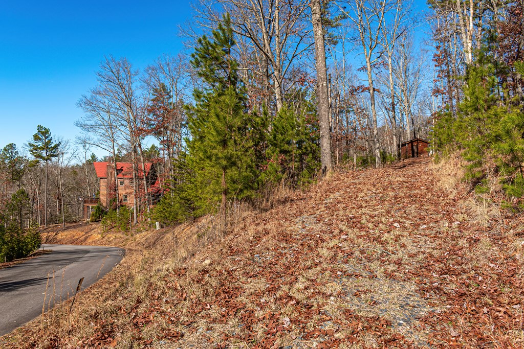 Lot 12 Meadow Brook Trail