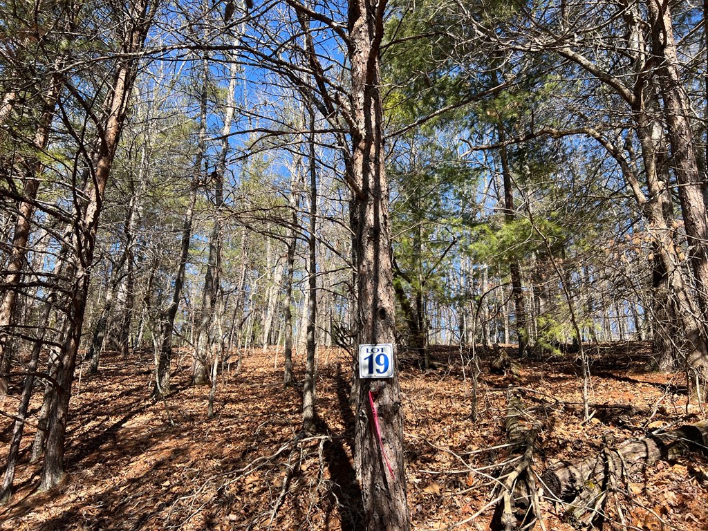 Lot 19 Mission Ridge