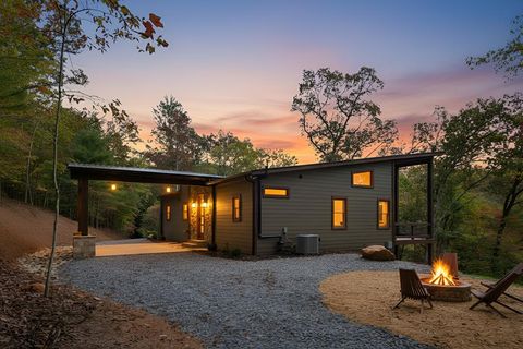 46 Cub Drive Mineral Bluff GA 30559