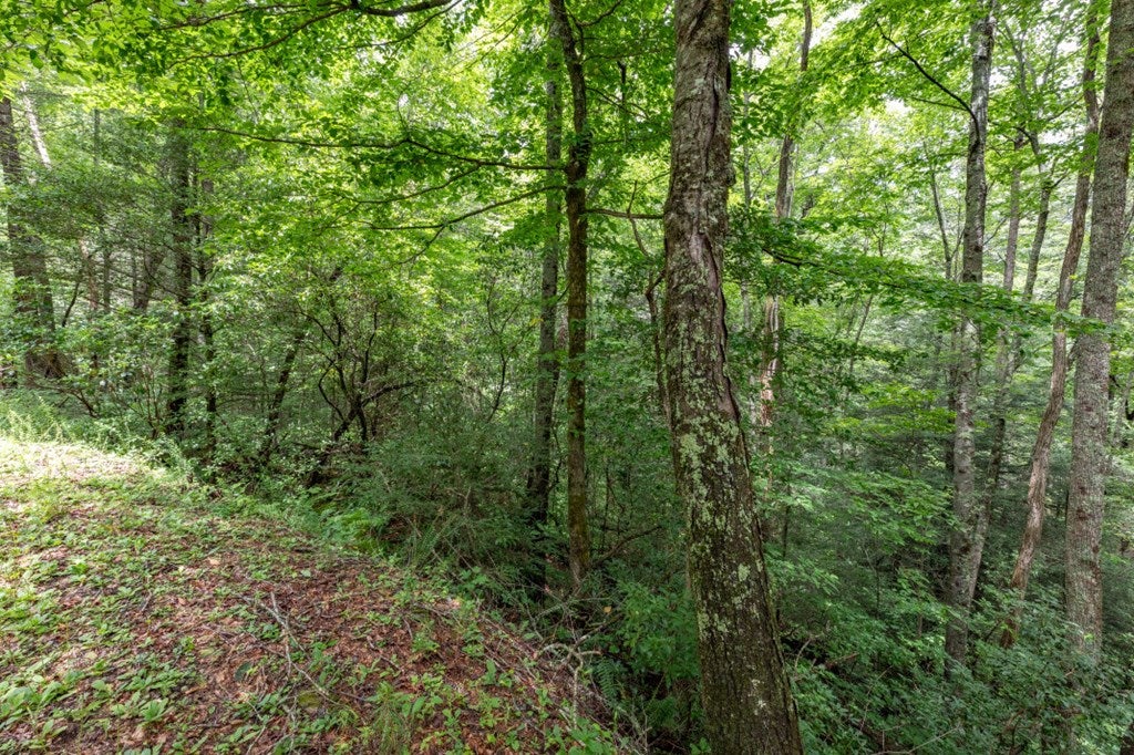 5.74 Ac Hardslate Road