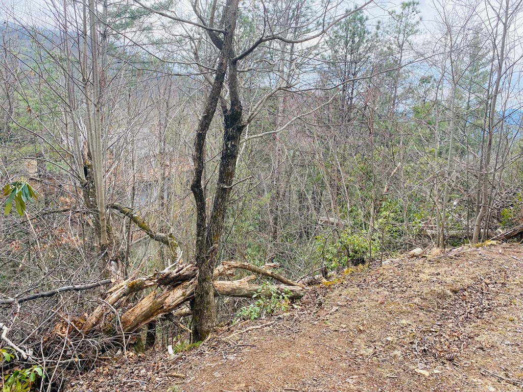 Lot 46 Ridge View Drive