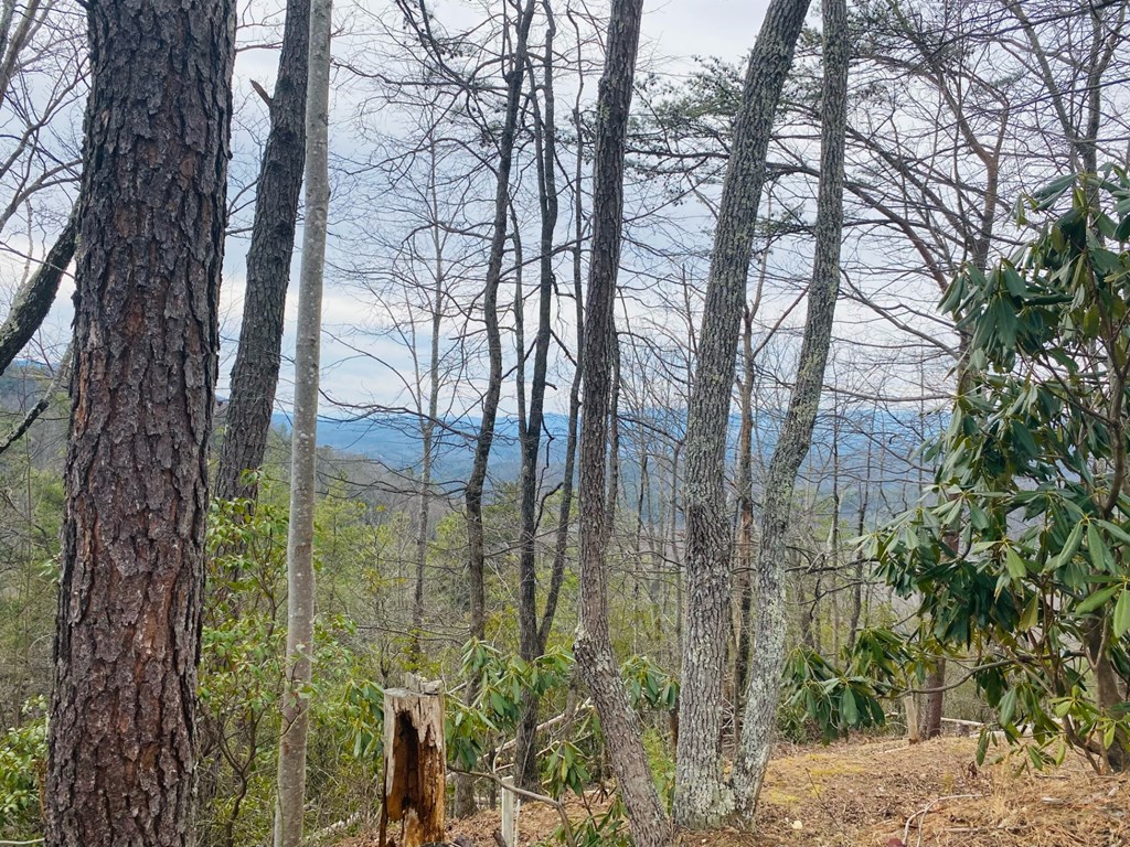 Lot 46 Ridge View Drive