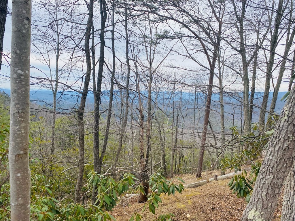 Lot 46 Ridge View Drive