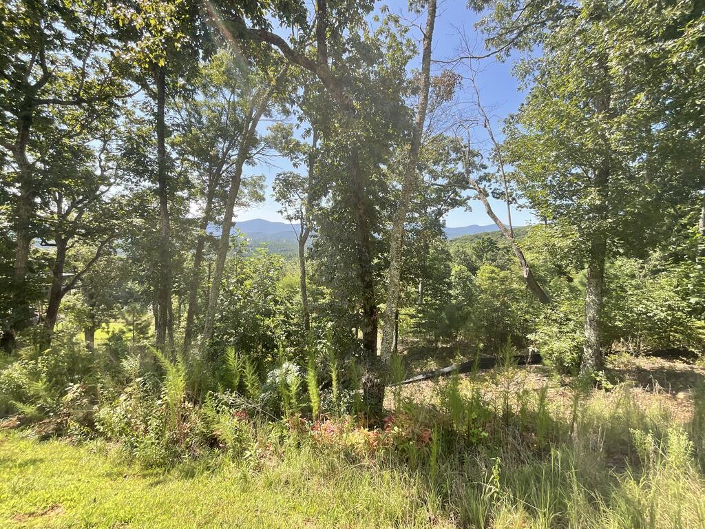 Lot 129 Winding Ridge