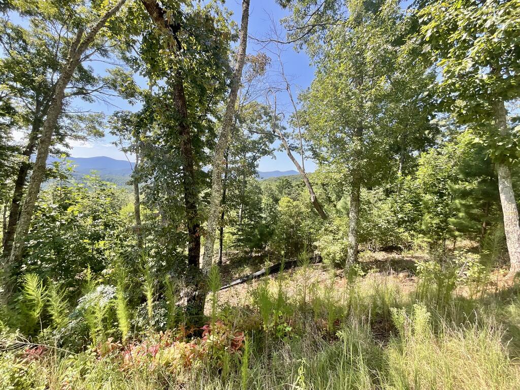 Lot 129 Winding Ridge